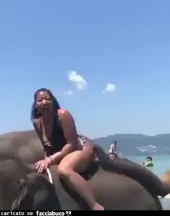 Gif Animata