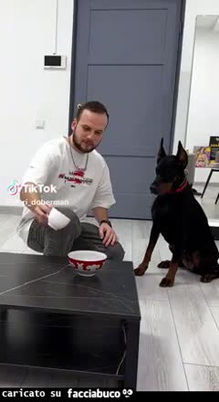 Gif Animata