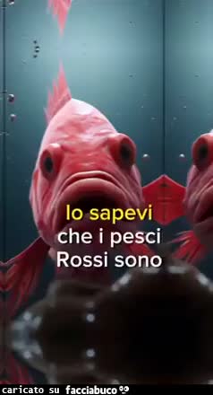 Lo sapevi che