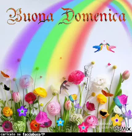 gif animata