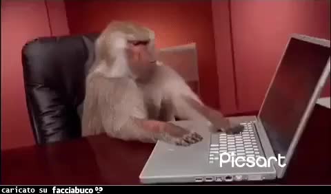 gif animata