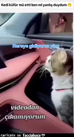 Gif Animata